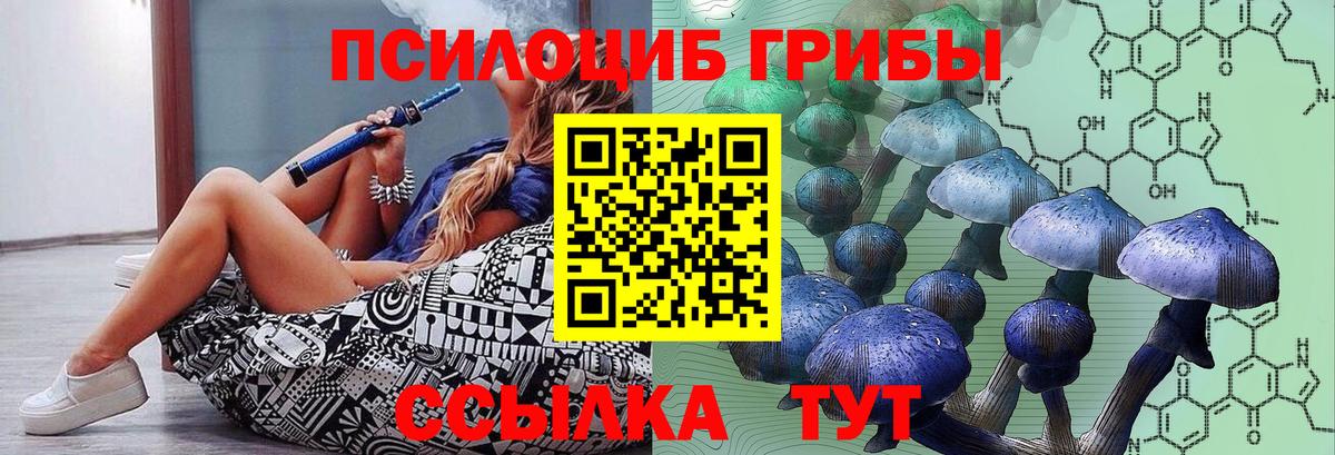 Галлюциногенные грибы мухоморы Анжеро-Судженск