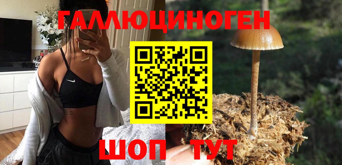 Псилоцибиновые грибы мицелий  Вход с VPN  Анжеро-Судженск 