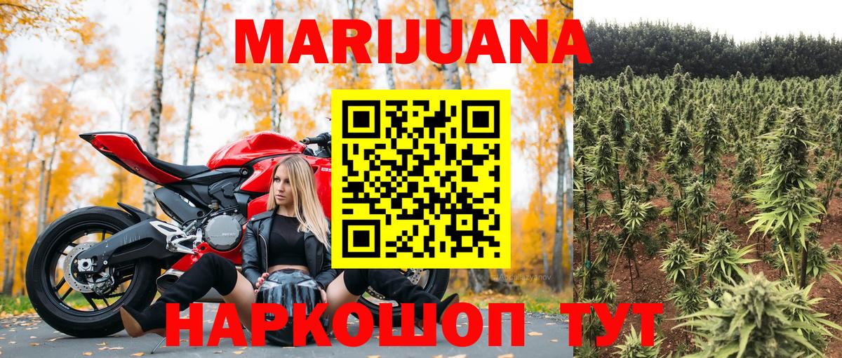 Бошки Шишки планчик  Бошки марихуана гибрид  Анжеро-Судженск  Бошки Шишки SATIVA & INDICA  Вход с VPN 